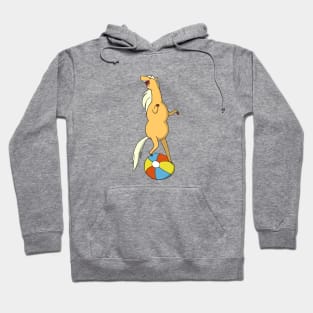 JBaxter Hoodie